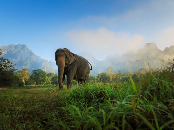 Thailand for families vacation