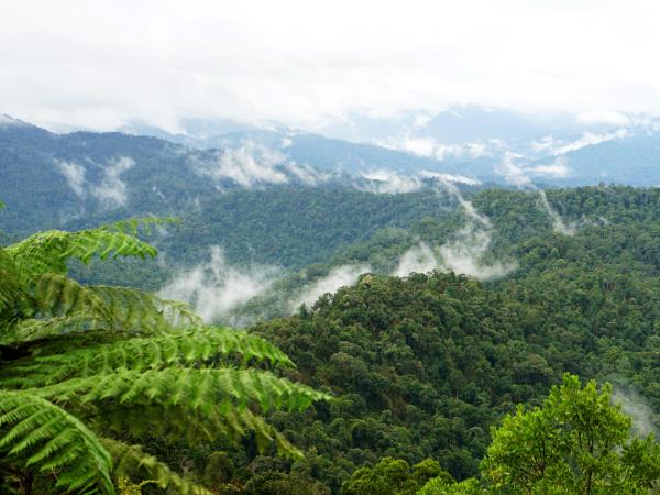 Northern Malaysia tour