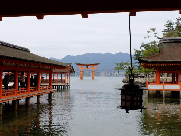 Japan family small group tour