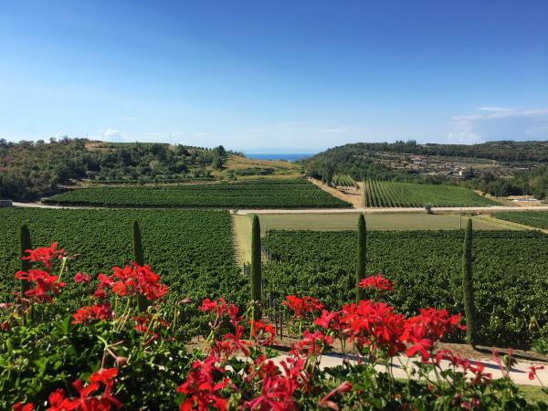 Istria holiday, food & activities