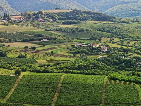 Istria activity vacation in Croatia
