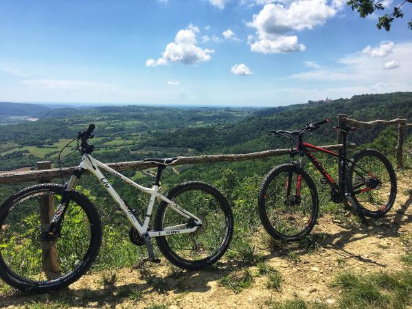 Istria activity vacation in Croatia
