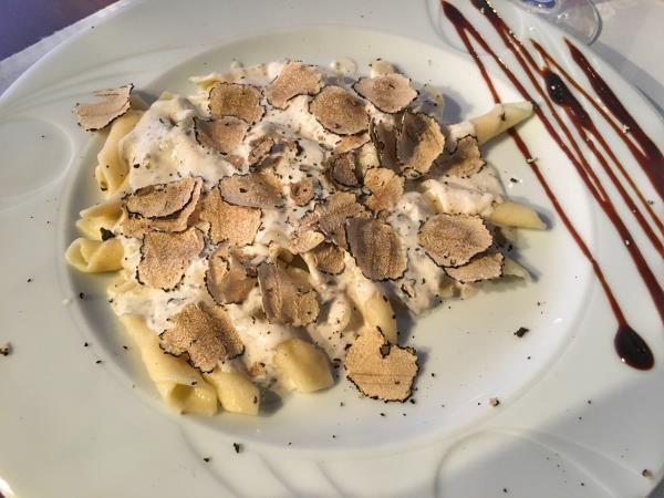 Istria activity vacation in Croatia