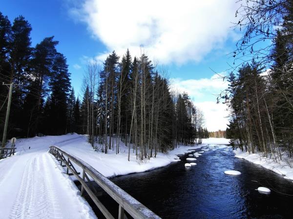 Finland wilderness cabin and activities vacation