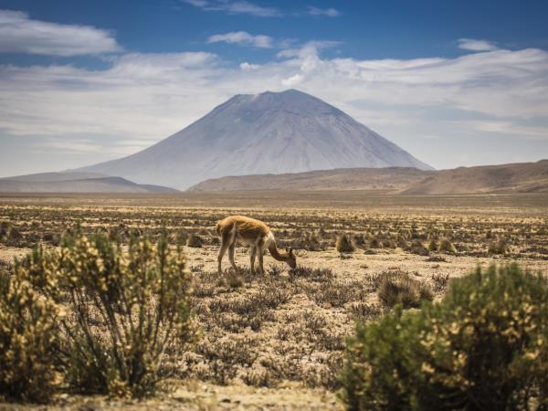 Peru slow tour, in depth