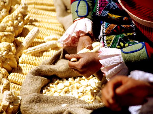 Peru slow tour, in depth
