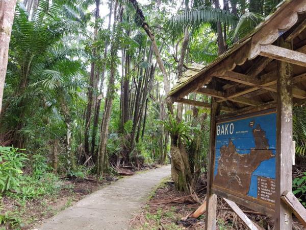 Borneo culture, nature & wildlife tour