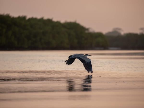 Gambia small group tour