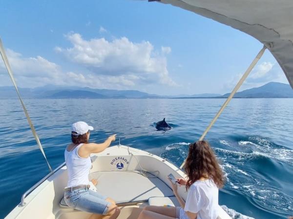 Seal conservation vacation in Greece