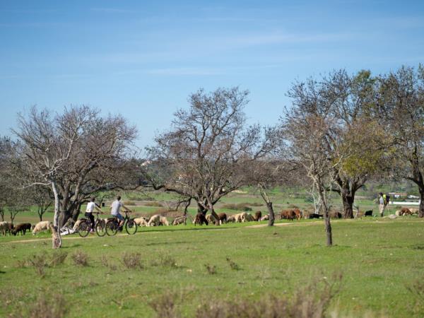 Algarve coastal cycling vacation