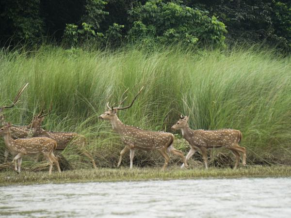 Nepal culture and nature tour
