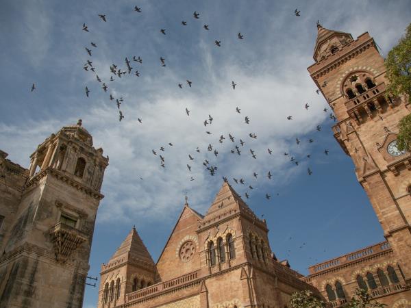Gujarat 14 day tour in India