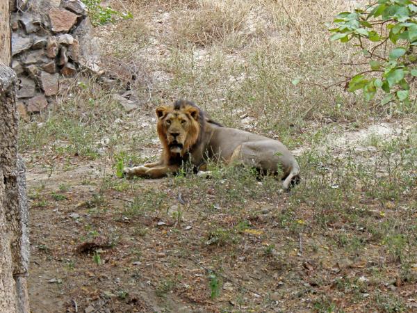 Gujarat 14 day tour in India