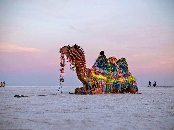 Textile tour of Gujarat, India