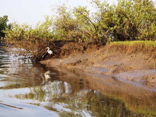 West Africa river cruise vacation