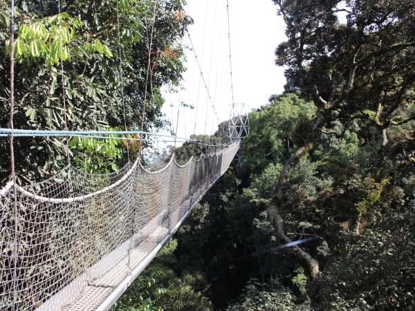Rwanda primate safari, 8 days