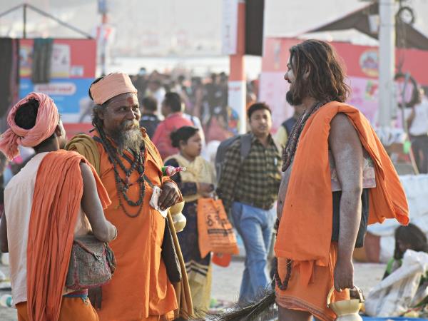 North India tiger and cultural tours