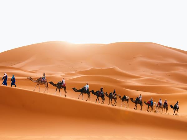 Morocco 15 day tour