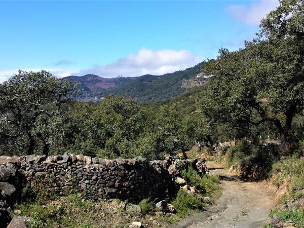Andalusia centre based hiking vacation, Spain