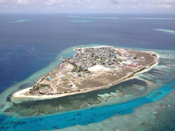 Turtle conservation in the Maldives