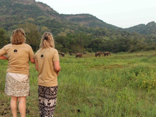 Sri Lanka elephant conservation vacation