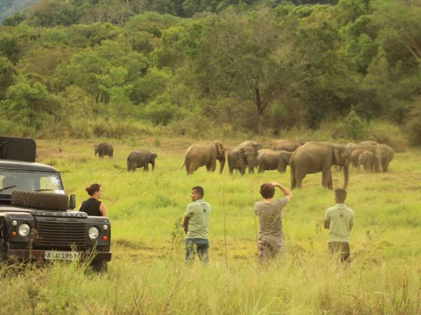 Sri Lanka elephant conservation vacation