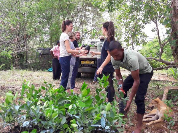 Sri Lanka elephant conservation vacation