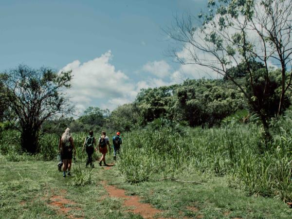 Sri Lanka elephant conservation vacation