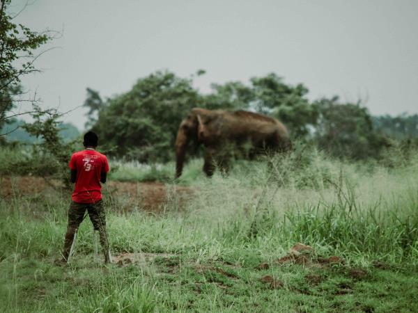 Sri Lanka elephant conservation vacation