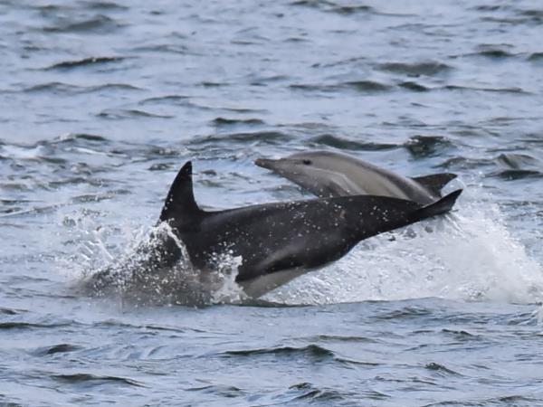 Scotland private charter sailing vacations