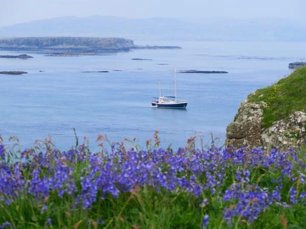 Scottish Hebrides guided wildlife tour