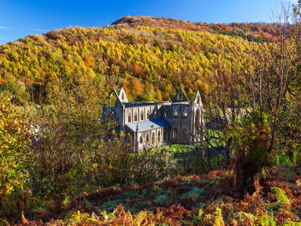 Black Mountains and Wye Valley hiking vacation