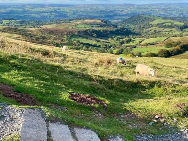 Black Mountains and Wye Valley hiking vacation