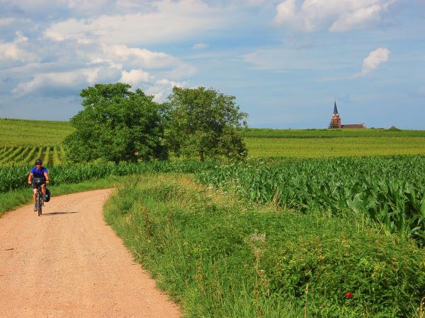 Family cycling vacation in Alsace, France