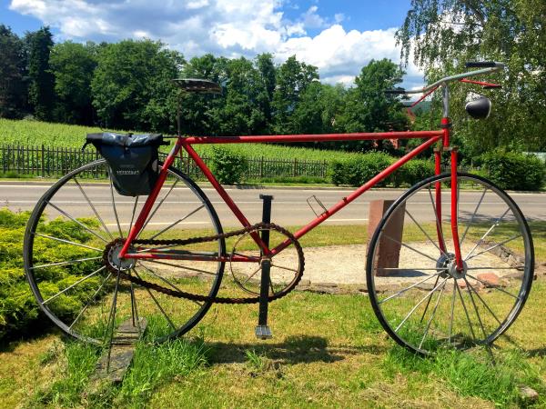 Cycling vacation in Alsace, France