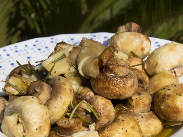 Vegetarian cuisine vacation in Greece