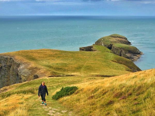 Vegetarian bed & breakfast in West Wales