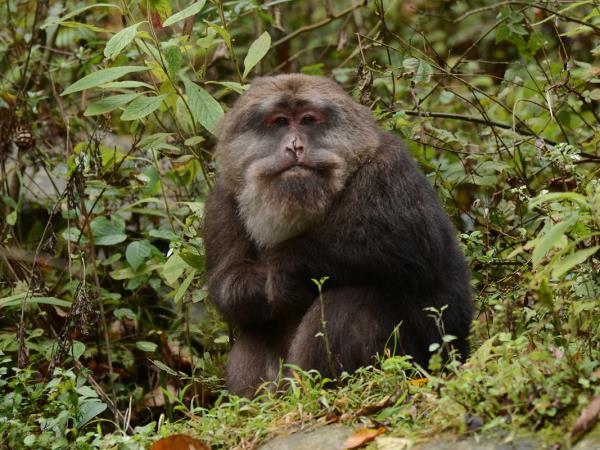 China small group wildlife tour