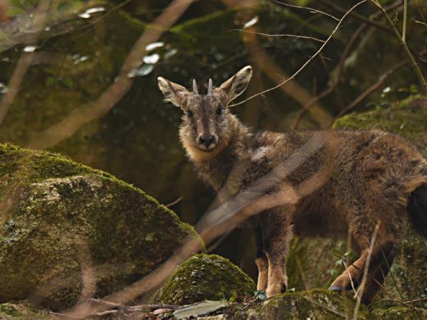 China small group wildlife tour