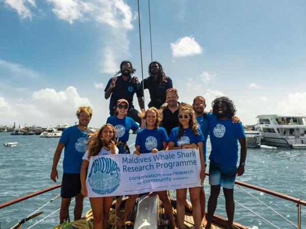 Maldives whale shark conservation snorkeling cruise