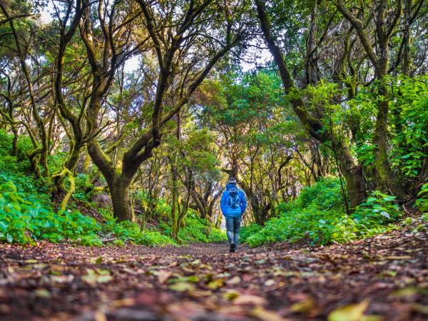 Canary Islands hiking vacation, Spain