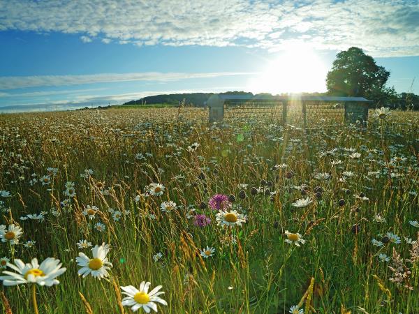 The Cotswold Way walking vacation in England
