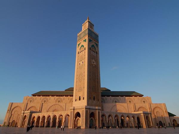 Highlights Casablanca MH8 (shell)