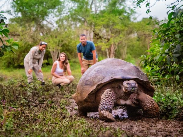 Ecuador & Galapagos active adventure vacation