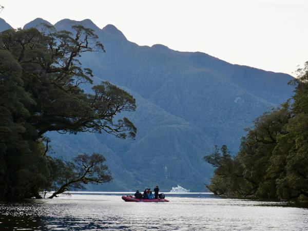 Best of New Zealand expedition cruise