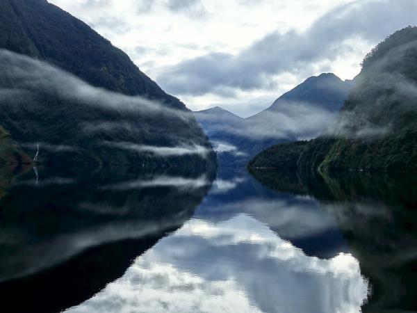 Best of New Zealand expedition cruise