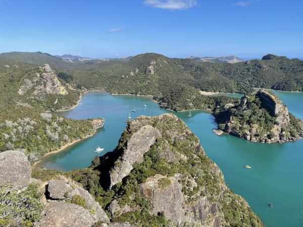 Best of New Zealand expedition cruise