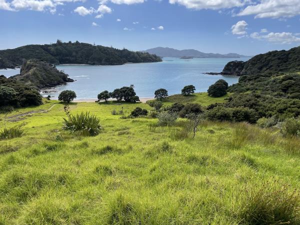 Best of New Zealand expedition cruise