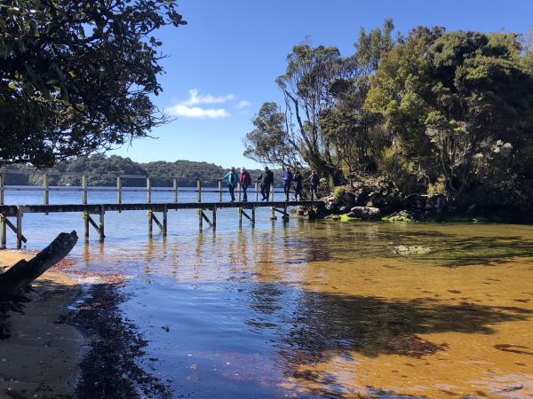 Best of New Zealand expedition cruise
