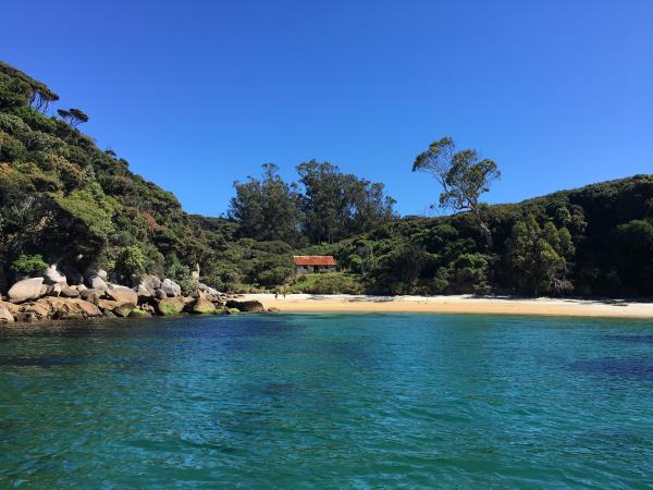 New Zealand cruise with Stewart Island & The Snares